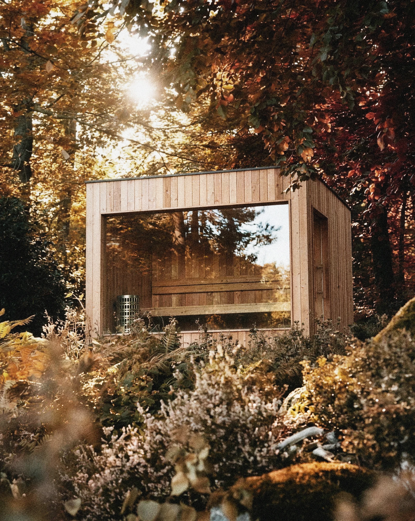 NAYELI sauna, glass front reflecting the autumn forest